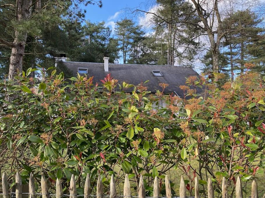 Le Rosa: Villa De Charme Entre Mer Et Pinede 퀜드 외부 사진